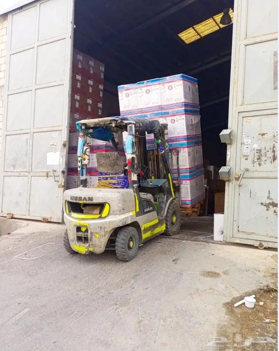 Forklift for rent in Jeddah, model 201763704275598081114
