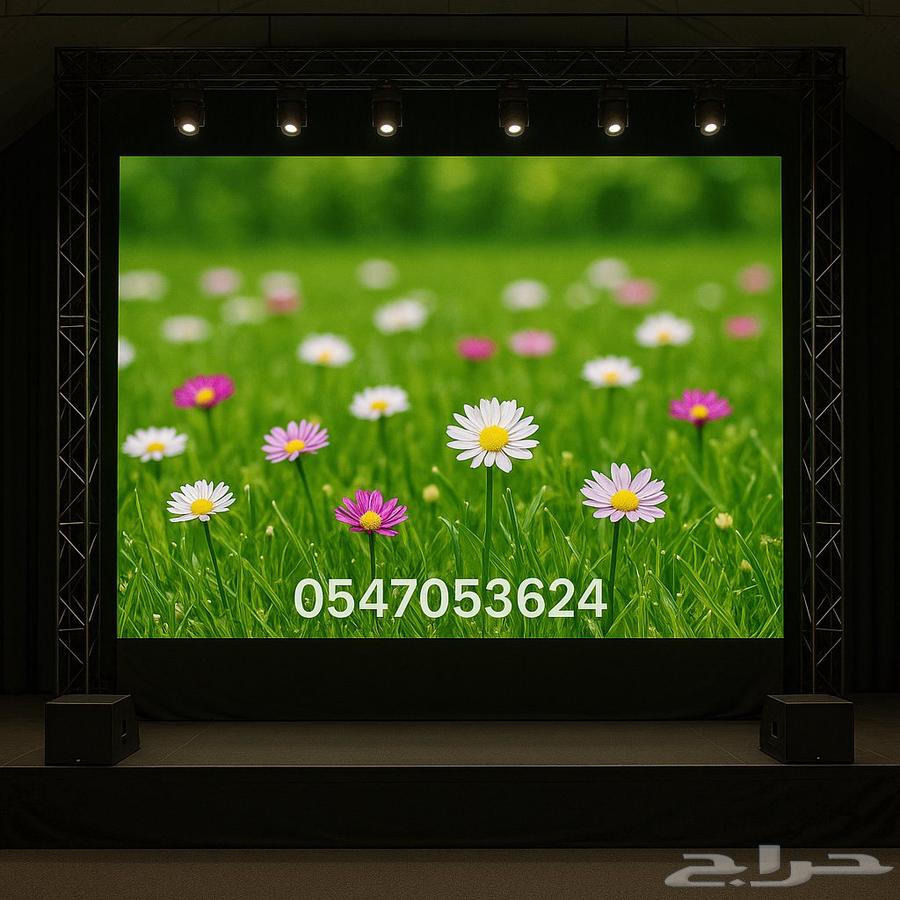 الرياض63667794210049111