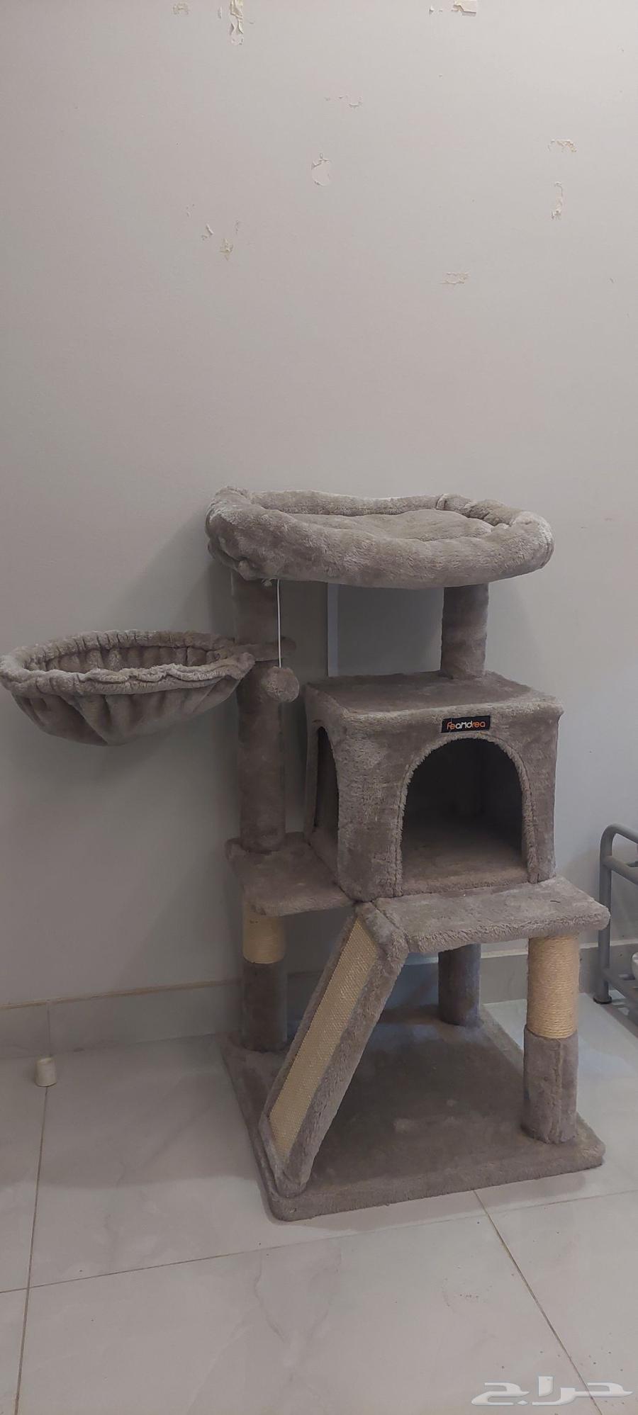 Cat scratching tree.63667553412354110