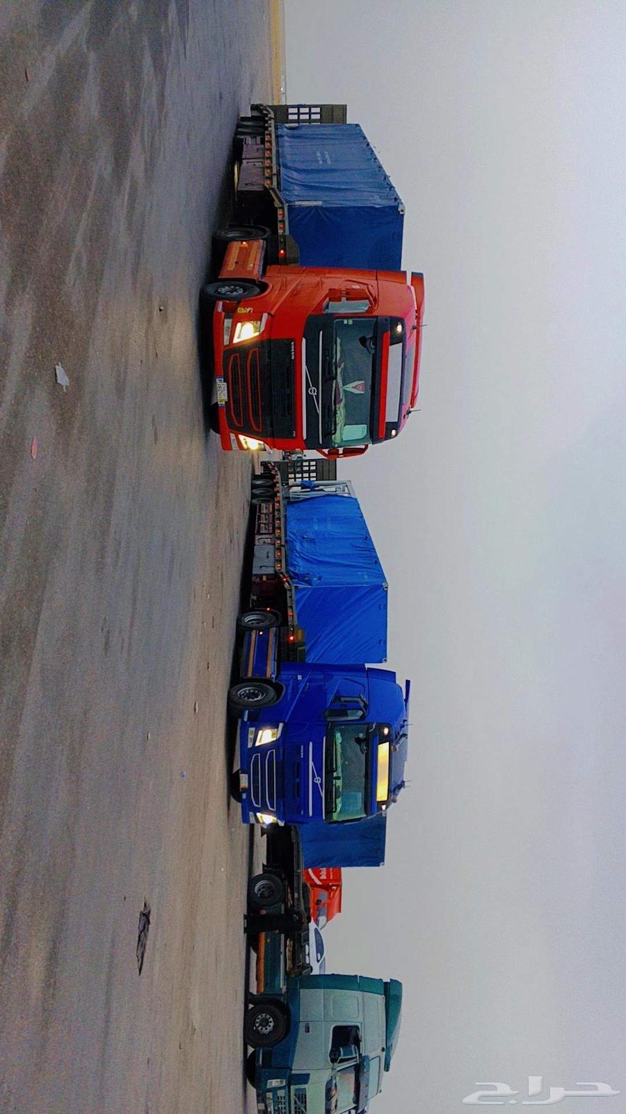 لوبد في الدمام الرياض شرما ضباء تبوك حائل جدة63707179138051112