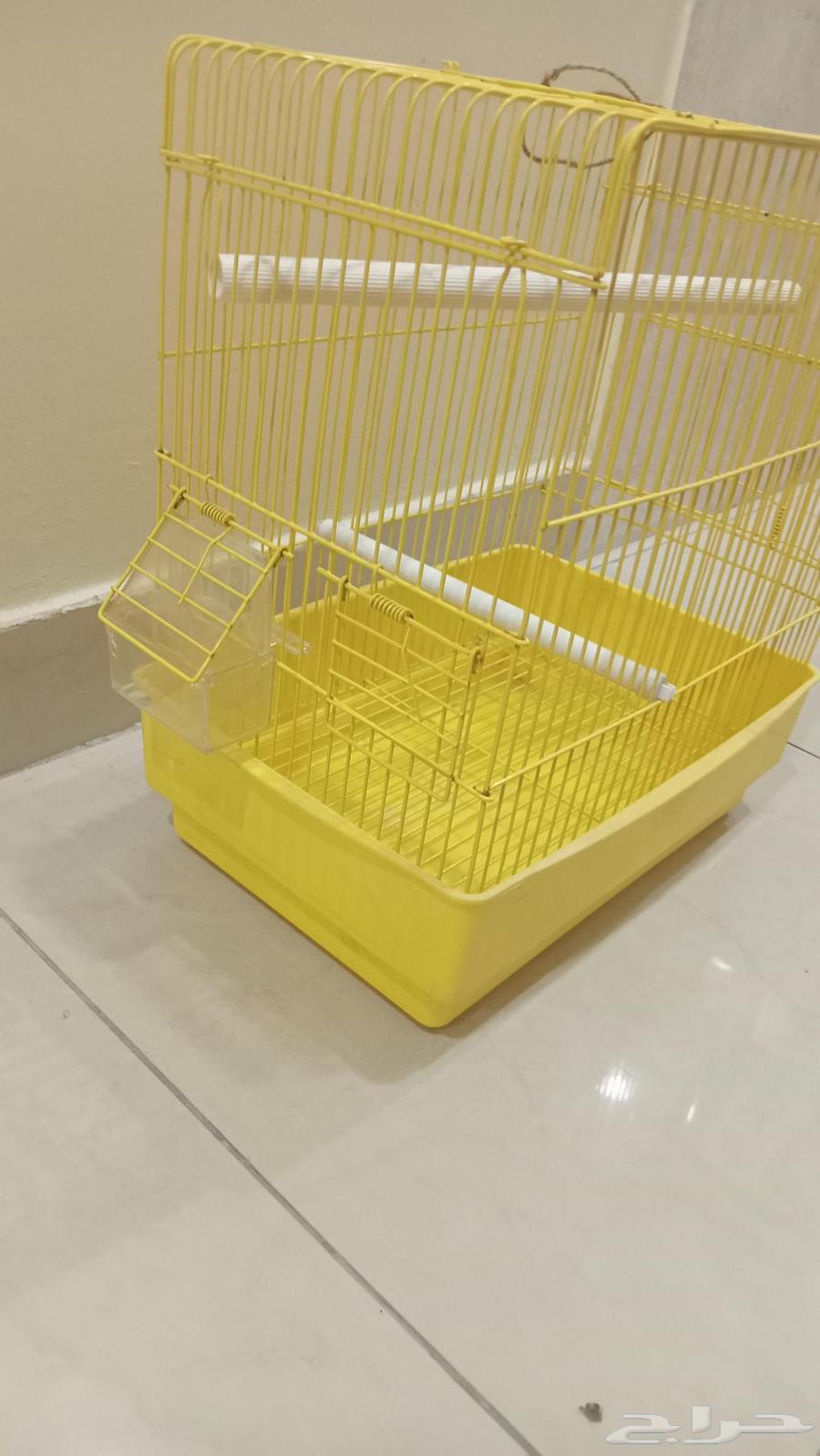 Bird cage63667548589058110