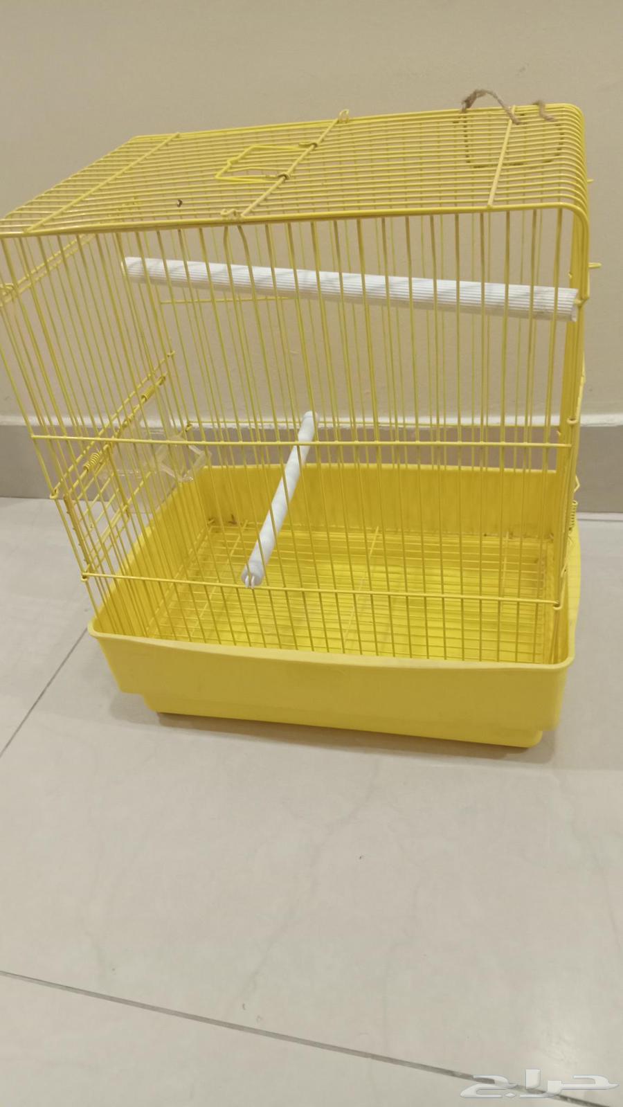 Bird cage63667548589058111