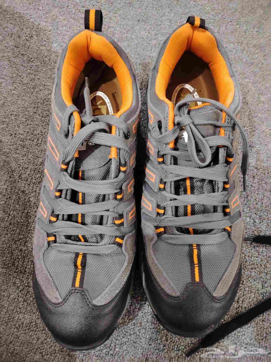Softy Shoes63667682829314112