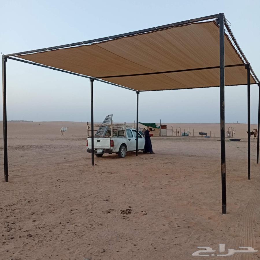 مضلات البل والحلال63667696317441113