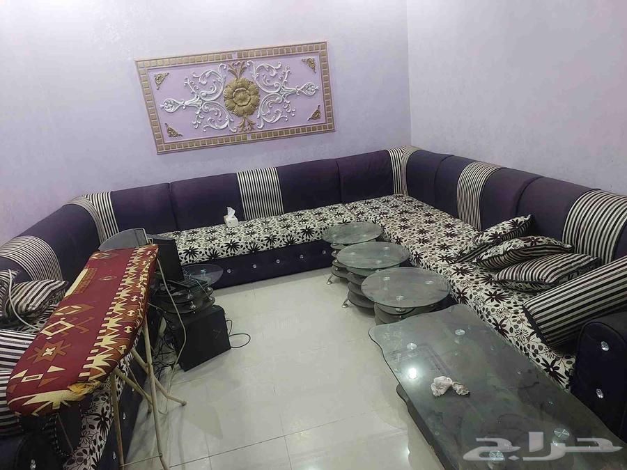 Council Sofa63667554514691111
