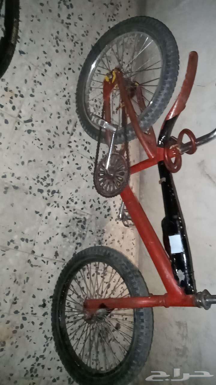سيكل كوبرا63667798978177111