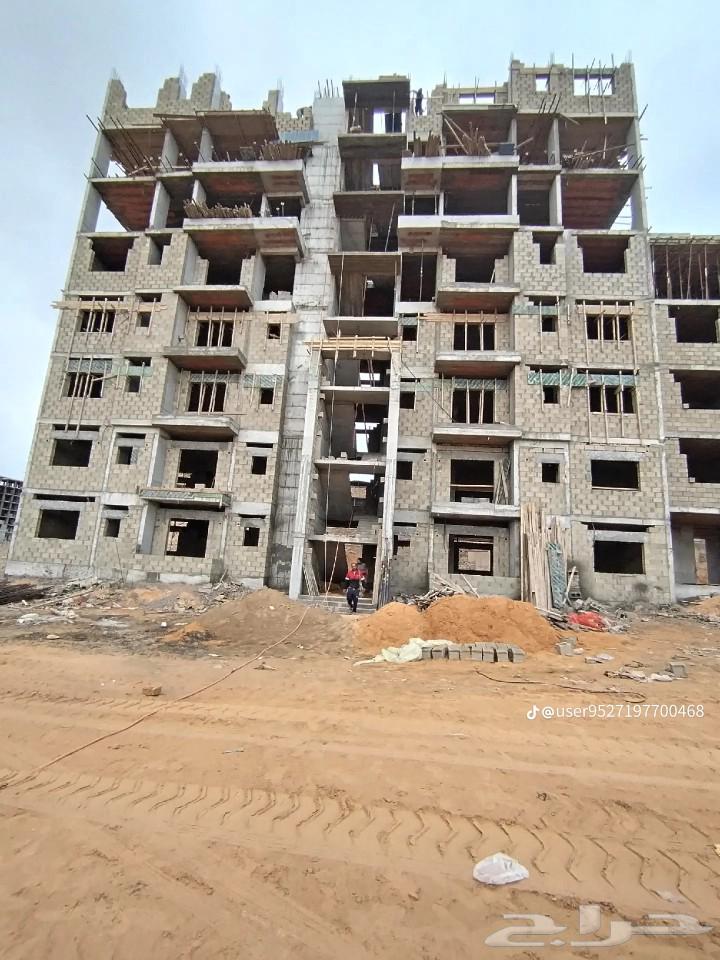 معلم نجار مسلح بجده63381912605441114