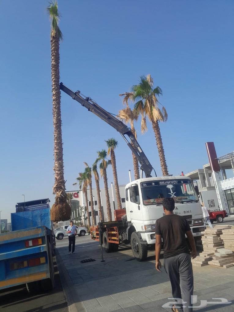 رافعه ونش كرينات للايجار جدة داخل شغل راقم جوال وتس اب63703217232515110