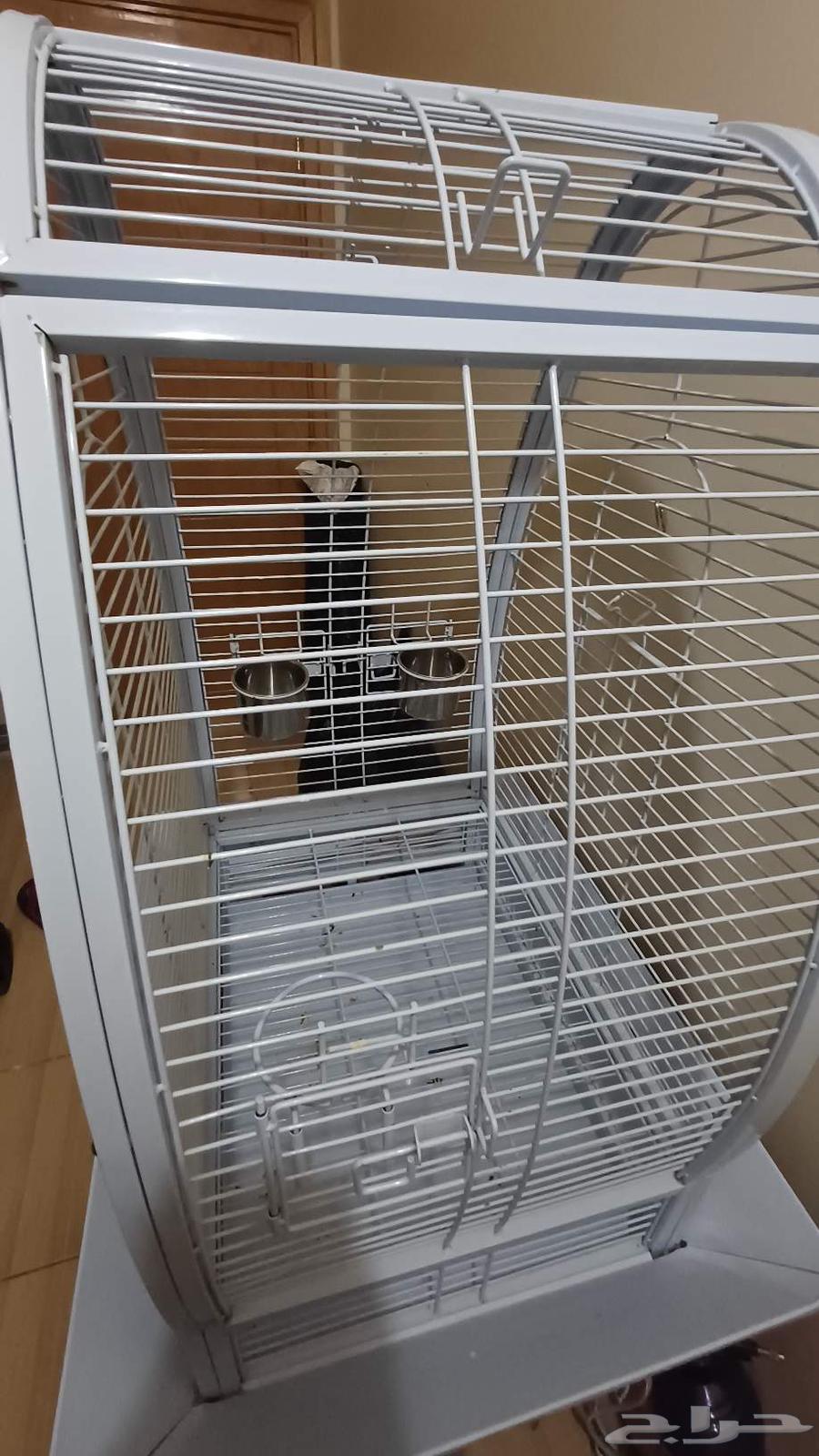 Parrot Cage63667549144963110