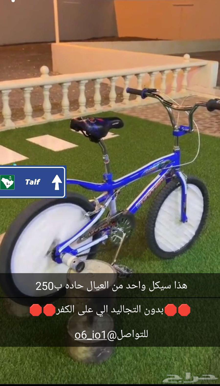 سيكل كوبرا لون ازرق63674898079363111