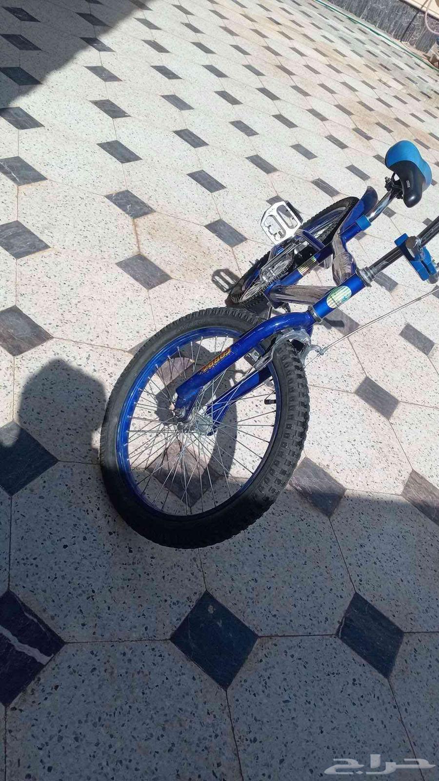 Blue Cobra Bicycle63670434651651110