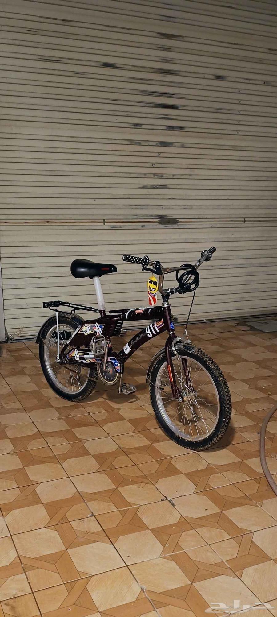 Rambow Grape Bicycle for Sale63669550411522110