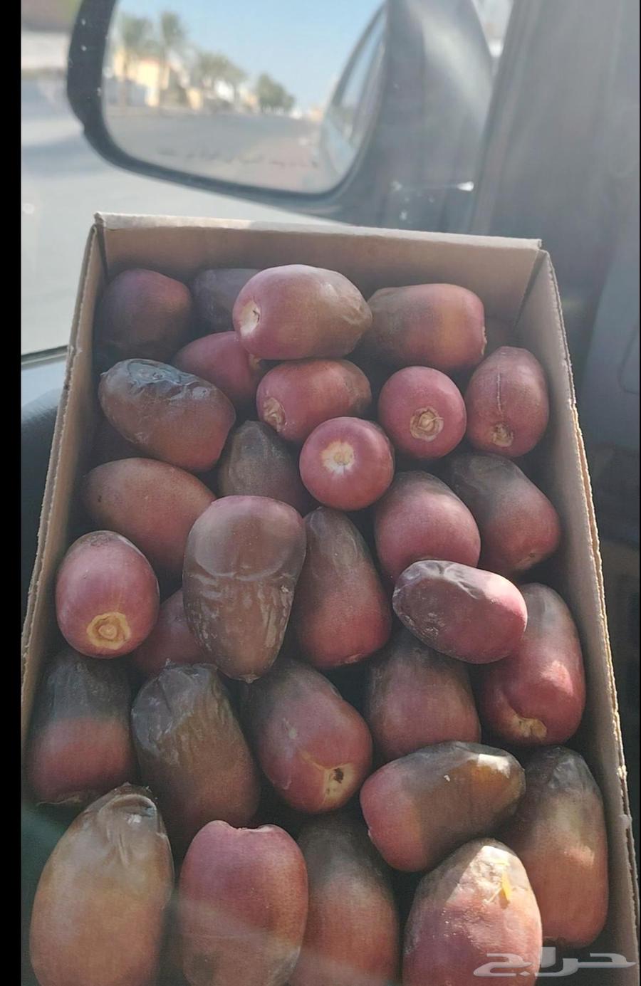 مناصيف ونانة طيبة63668290628609110