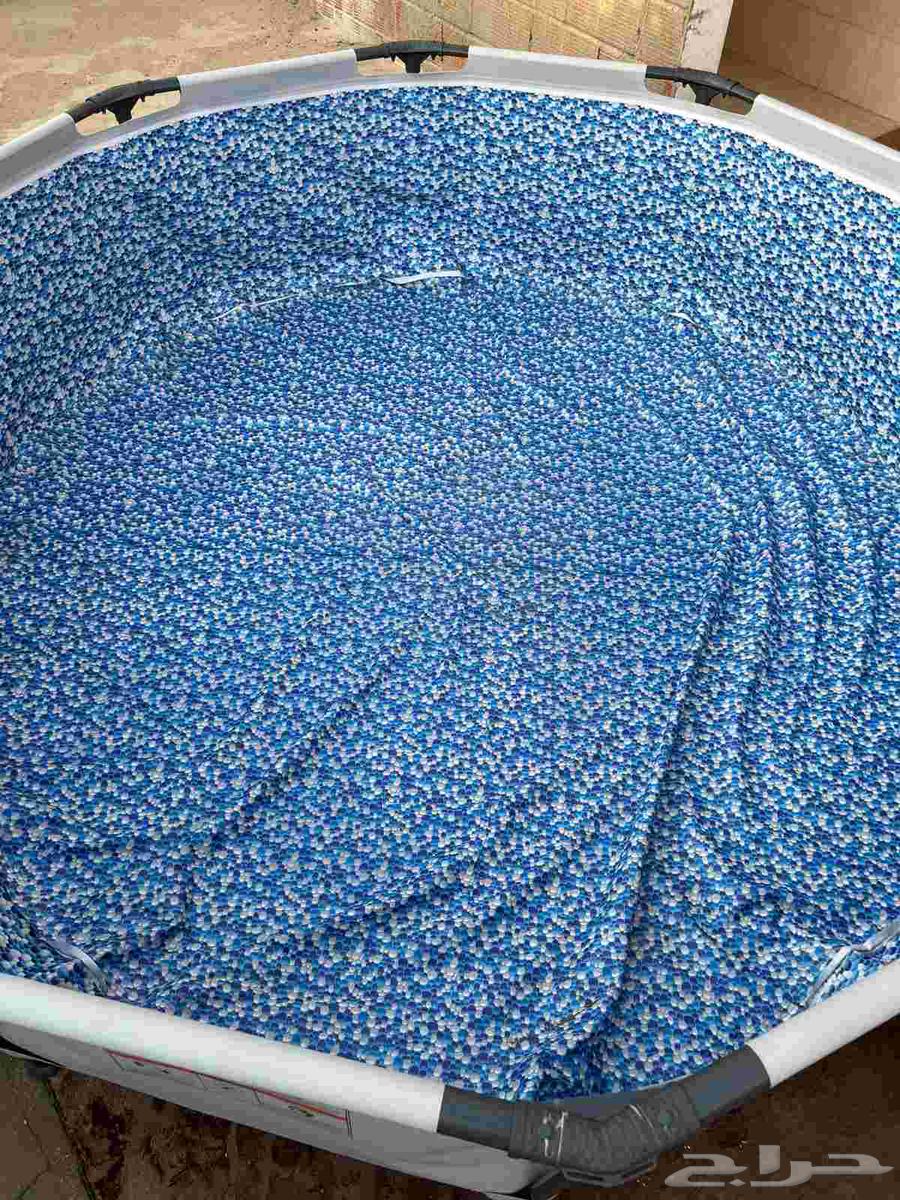 Ultra Durable Bestway Swimming Pool63668122647938110