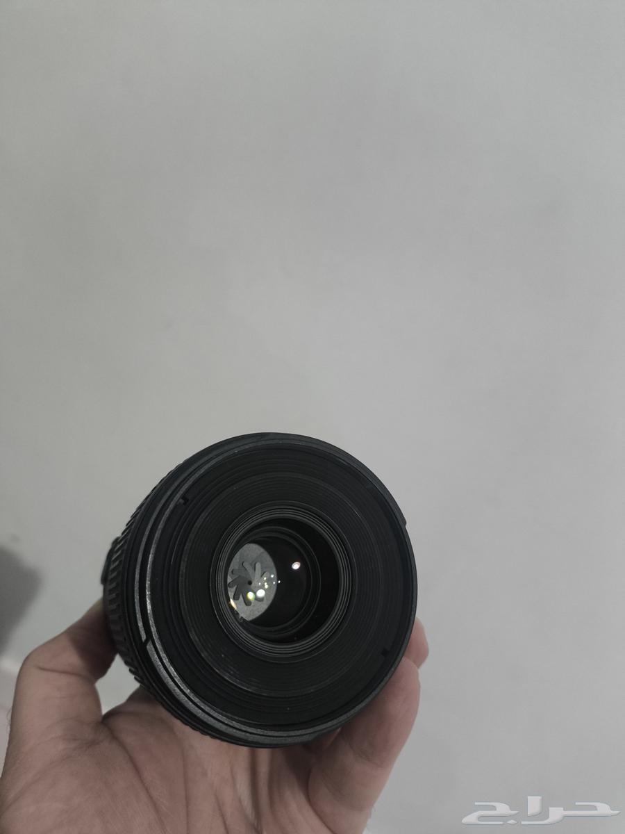 Nikon Lenses (Macro 60 and 200-500)63673067462913114