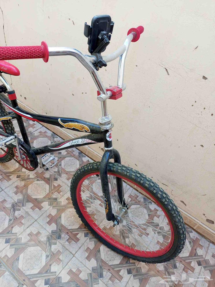 Cobra bike for sale63672447422466111