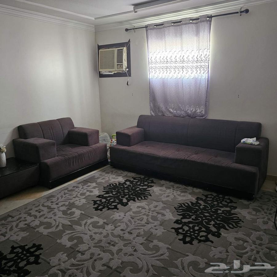 انتريه وسجاده كبيرة وستار 300 ريال لسرعة البيع قابل للتفاوض63674370293635112