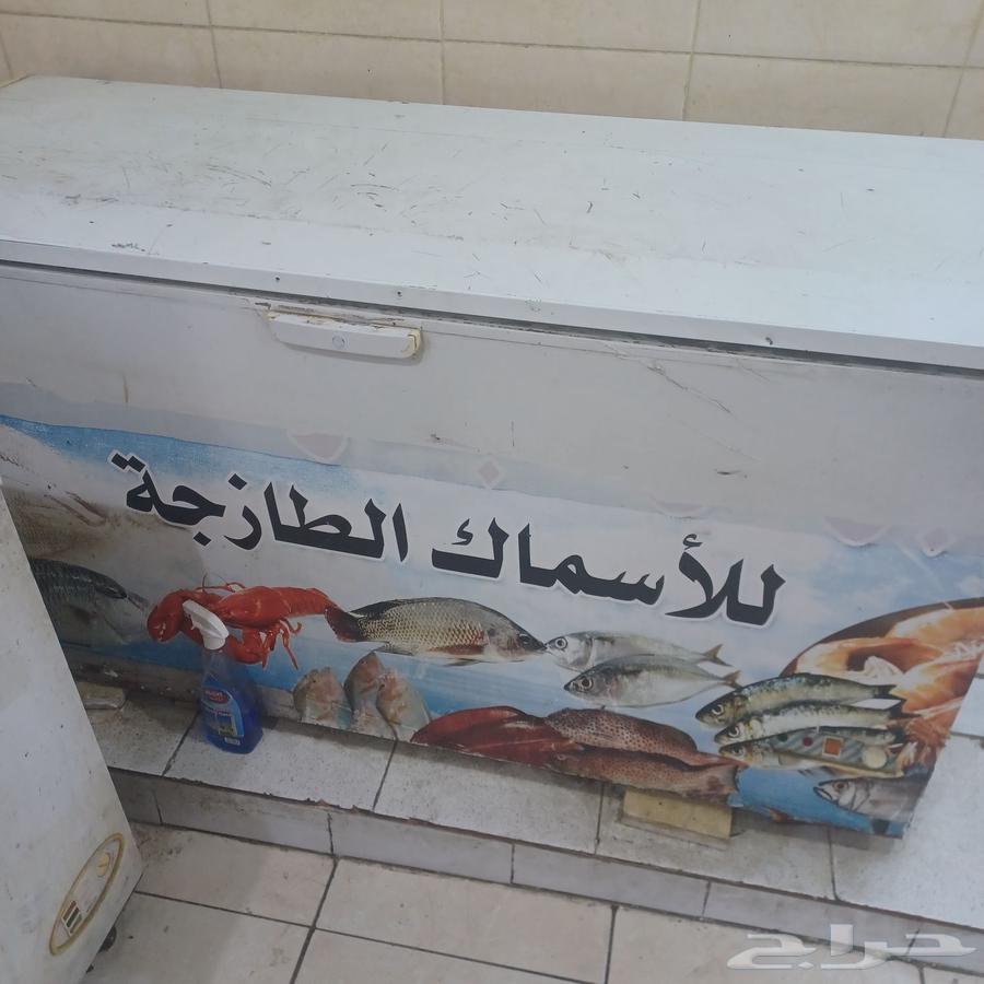 فريزر للبيع 700 ريال63673562280961110