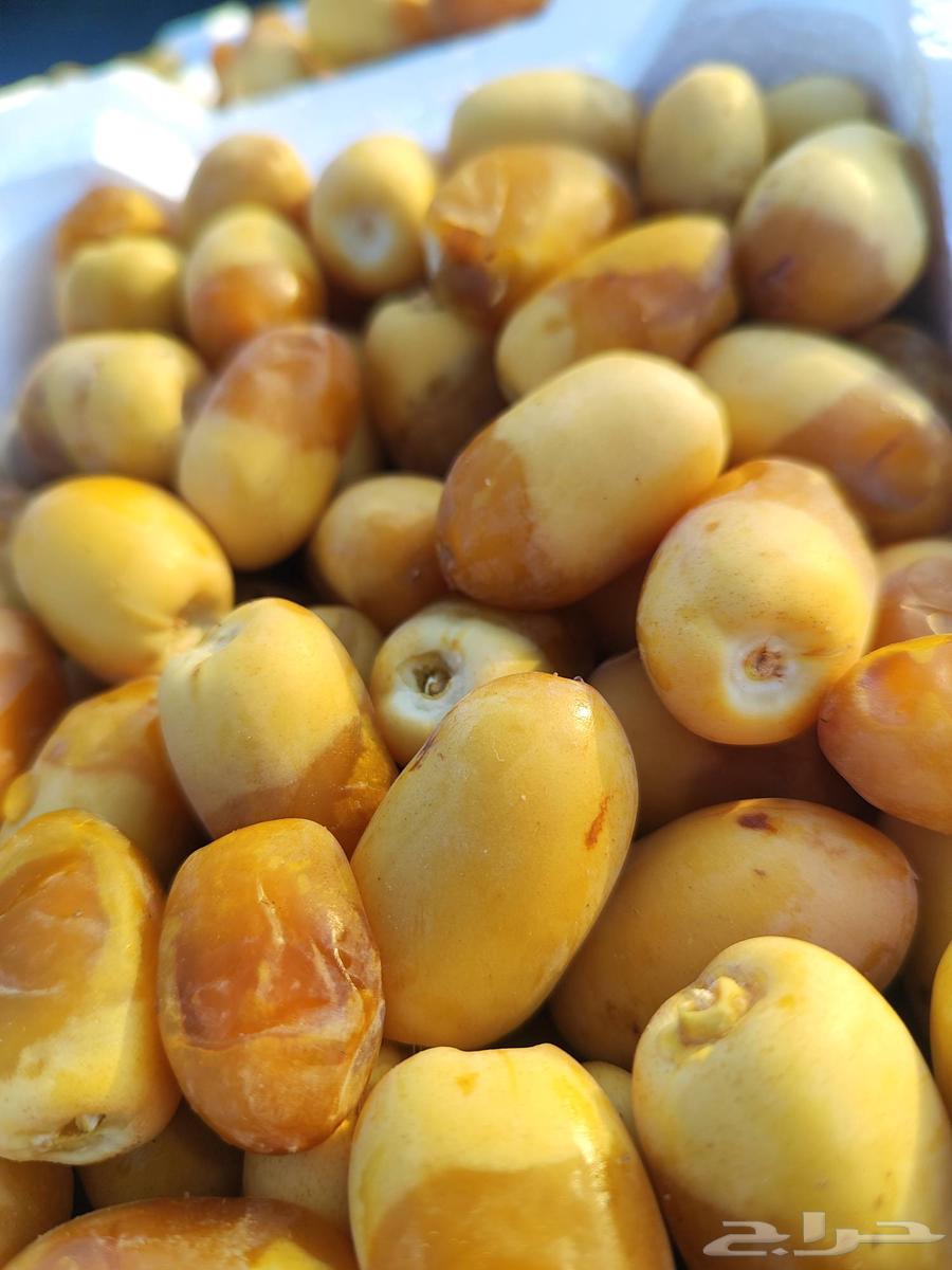 Al-Khalees Dates63671829479170111