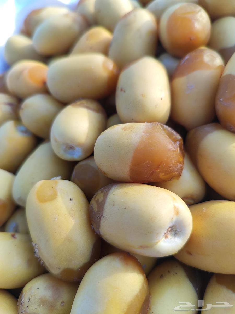 Al-Khalees Dates63671829479170112