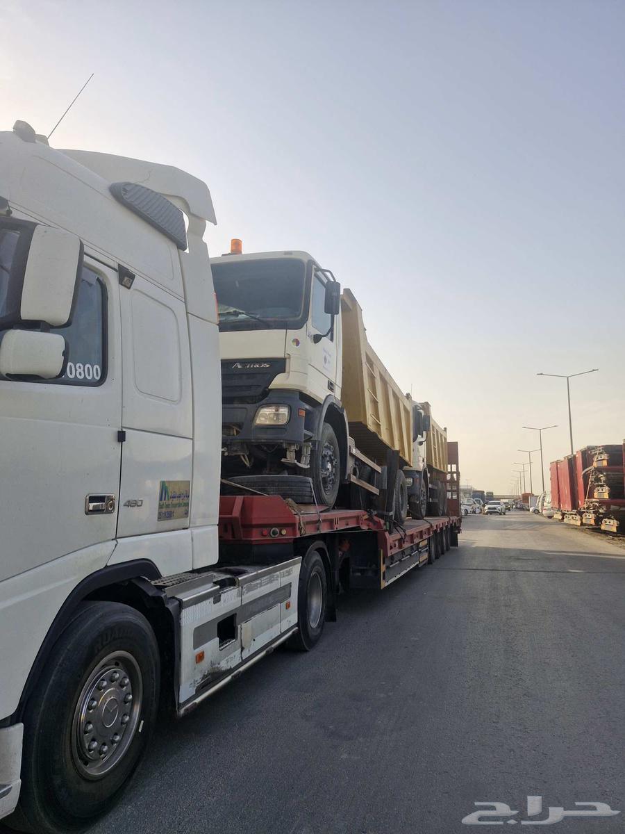 لوبد تيماء الجهراء العلا تبوك63725702232321114