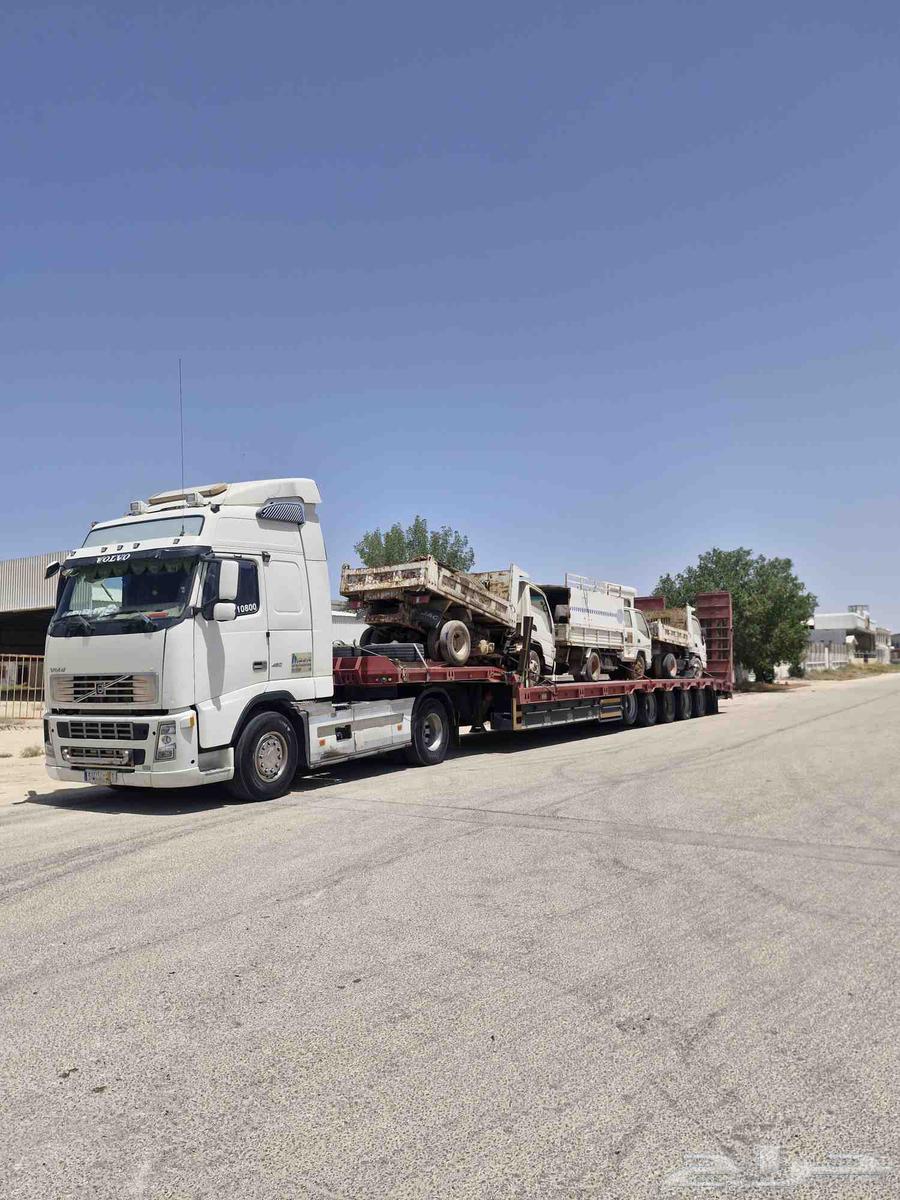 لوبد تيماء الجهراء العلا تبوك63725702232321113