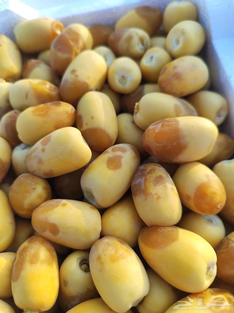 Al-Khalees Dates63671829479170110