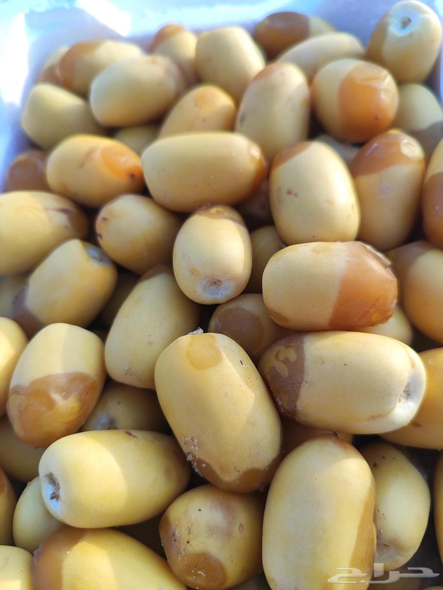 Al-Khalees Dates63671829479170114