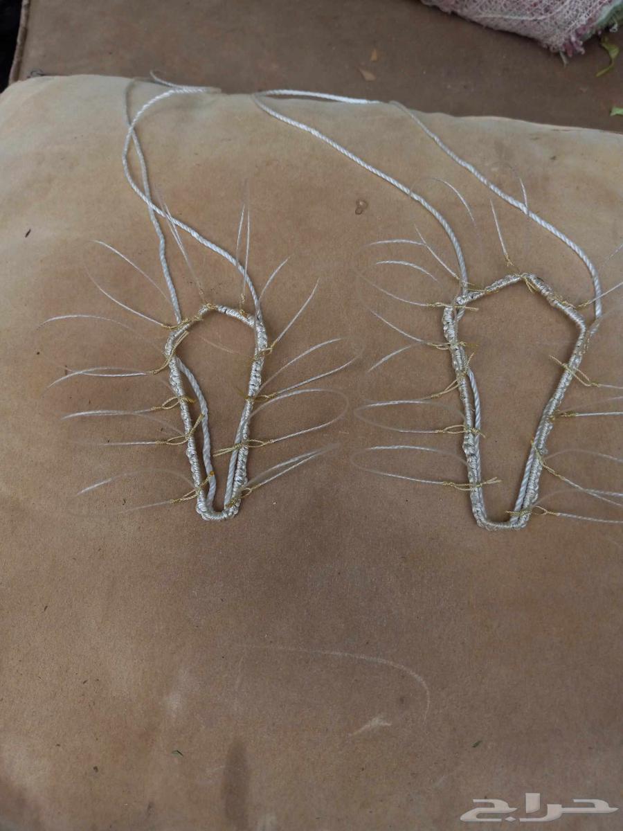 Falcon trapping net63671228875266110
