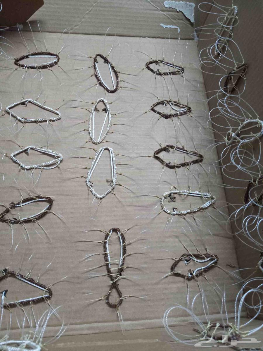 Falcon trapping net63671228875266111