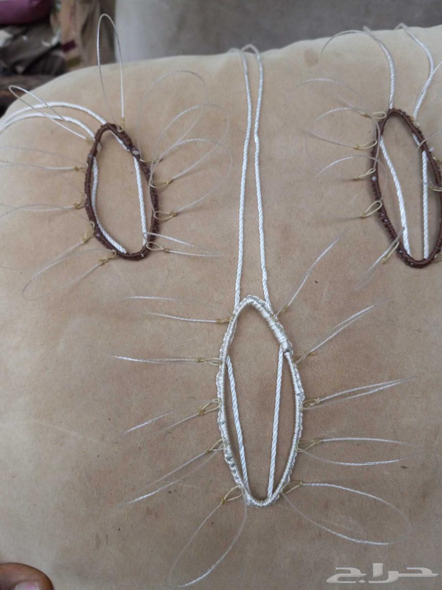 Falcon trapping net63671228875266114