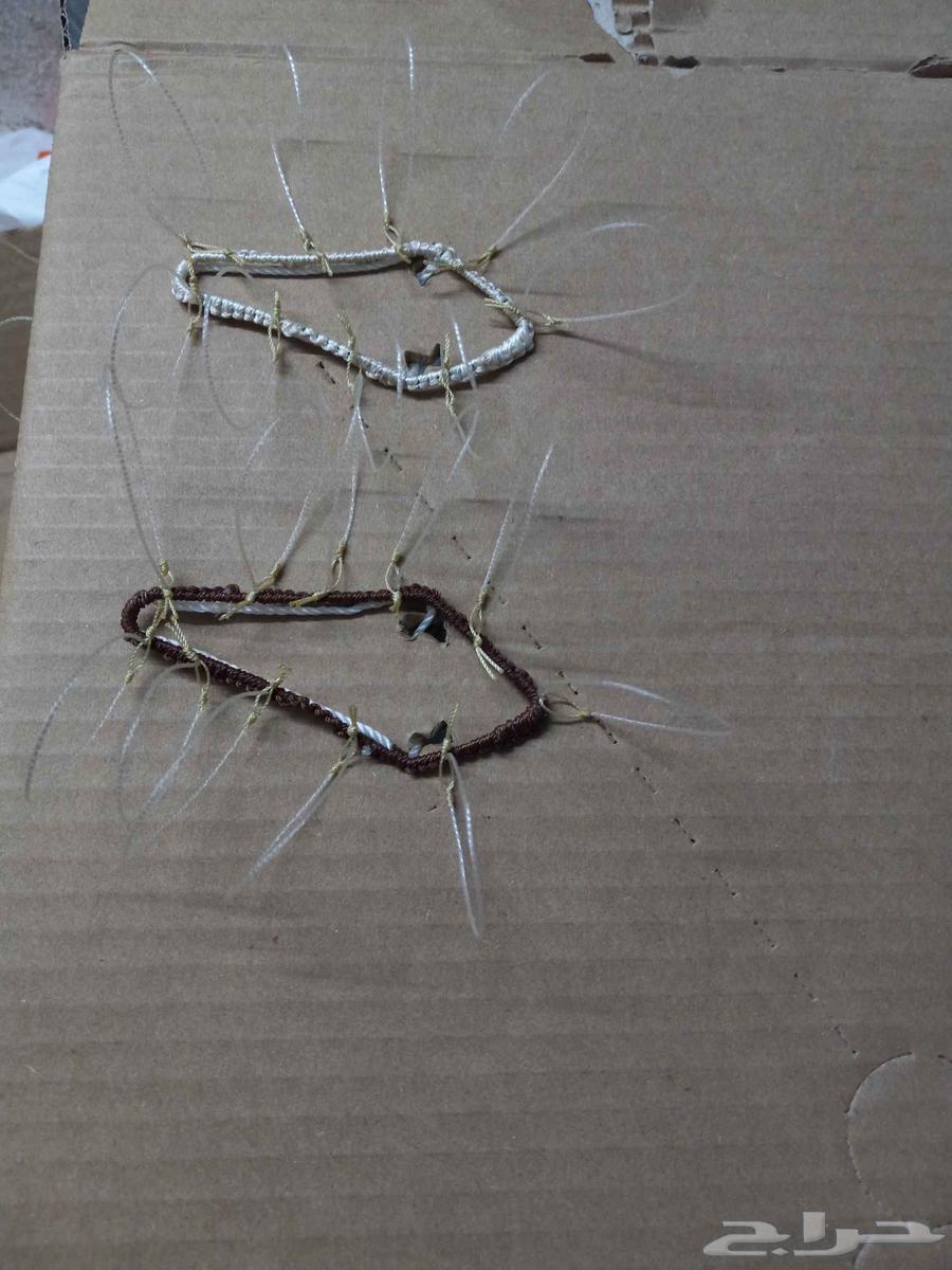 Falcon trapping net63671228875266112