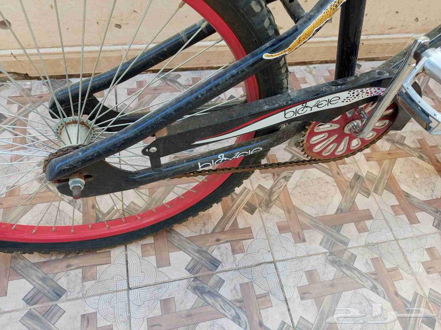 Cobra bike for sale63672447422466110