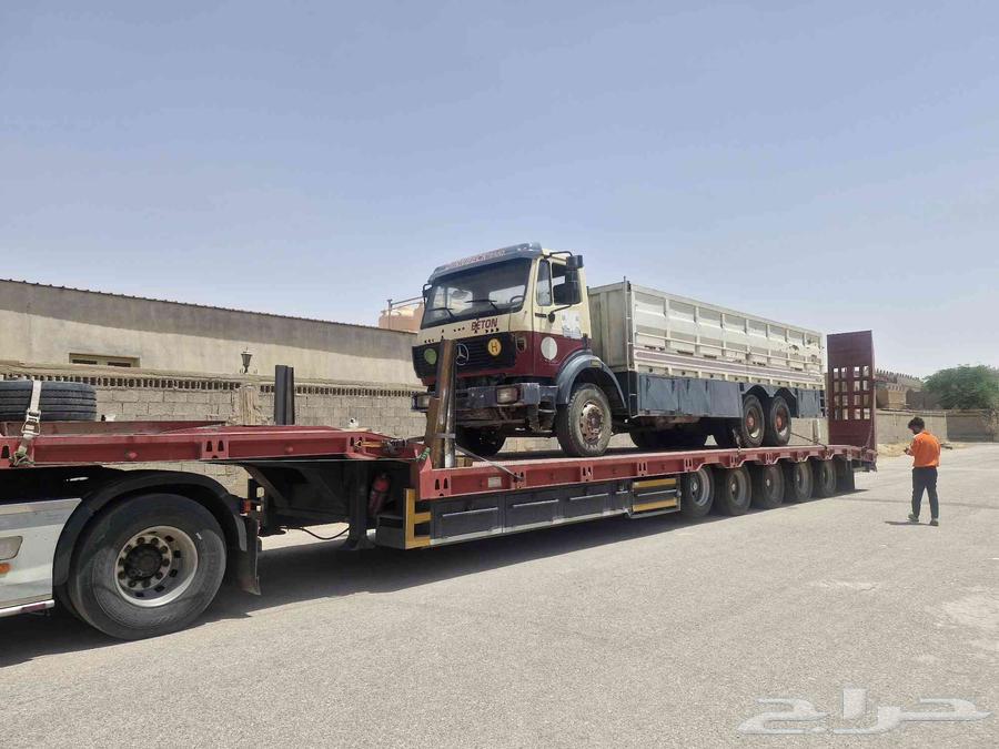 لوبد تيماء الجهراء العلا تبوك63725702232321112