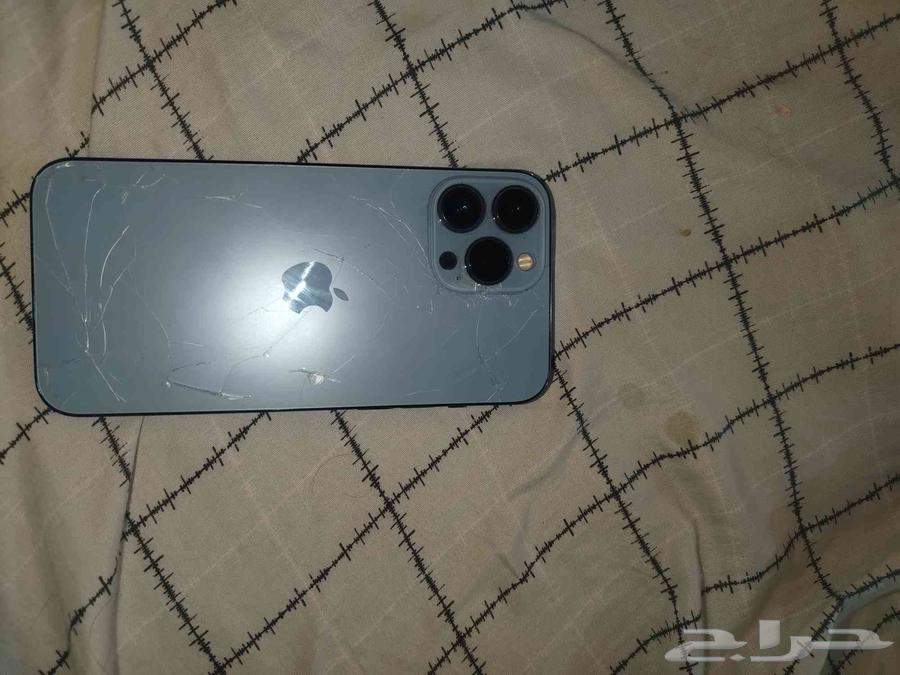 iPhone 13 Pro Max 512GB63672169653121111