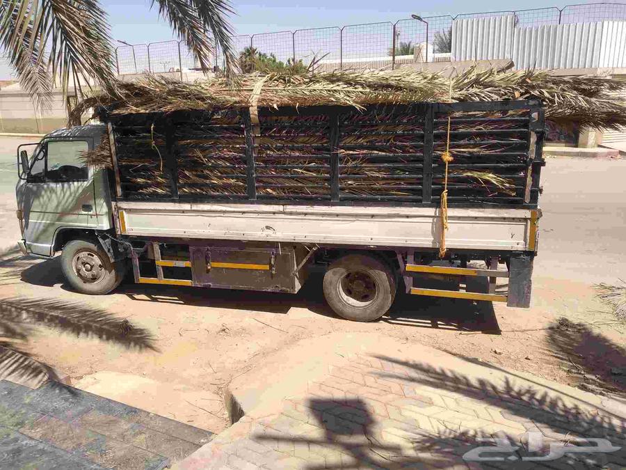 سعف نخيل طيب جديد للعرايش والمظلات63673653651329114