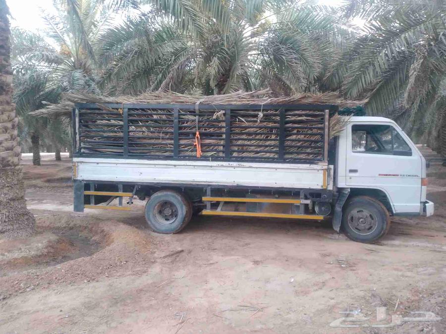 سعف نخيل طيب جديد للعرايش والمظلات63673653651329110