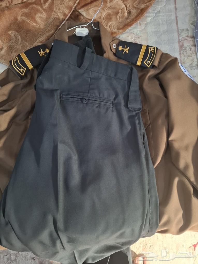 Complete customized suit for 220, selling for 10063675421836931110