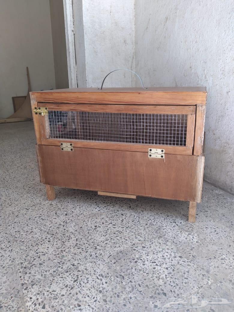 Multi-purpose cage and incubator63674459266307114