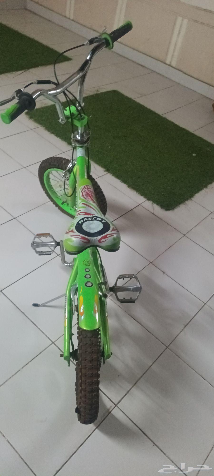 بسكليت كوبرا63667810062209111
