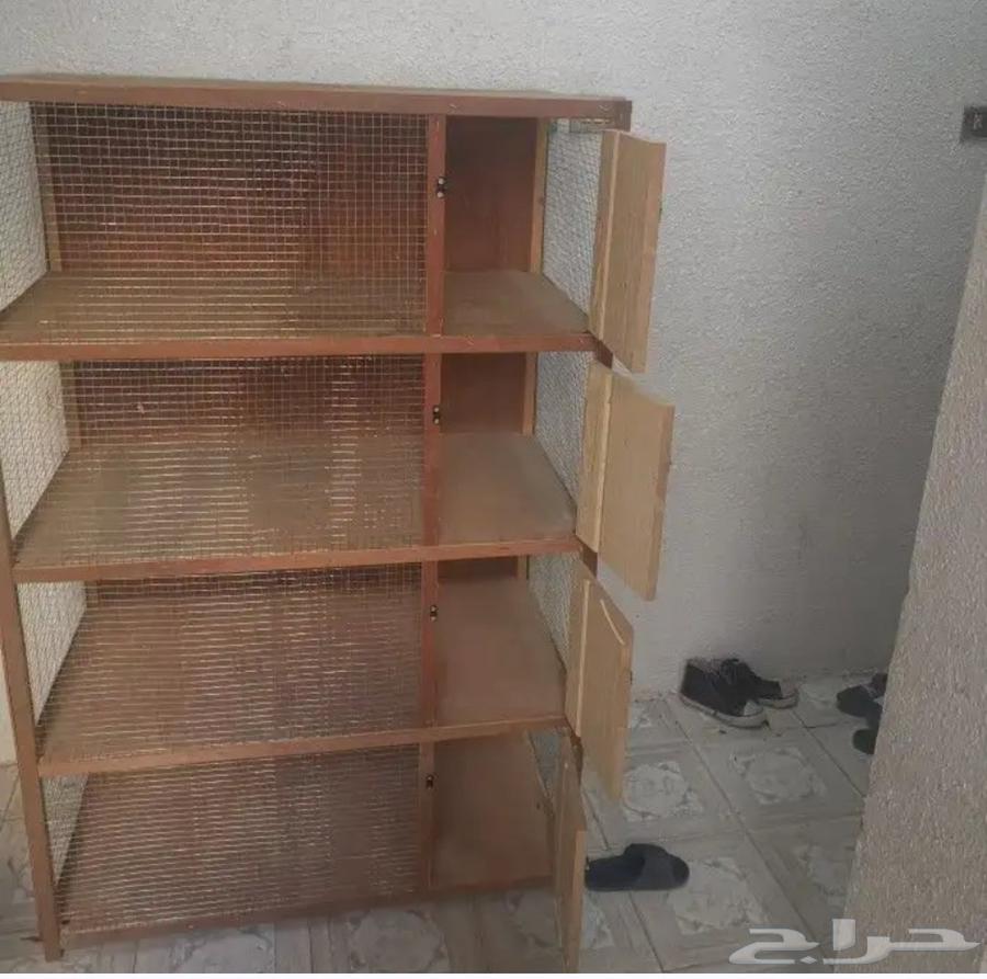 Brooder. Battery suitable for raising chicken, pigeon, and quail chicks63680092243715112