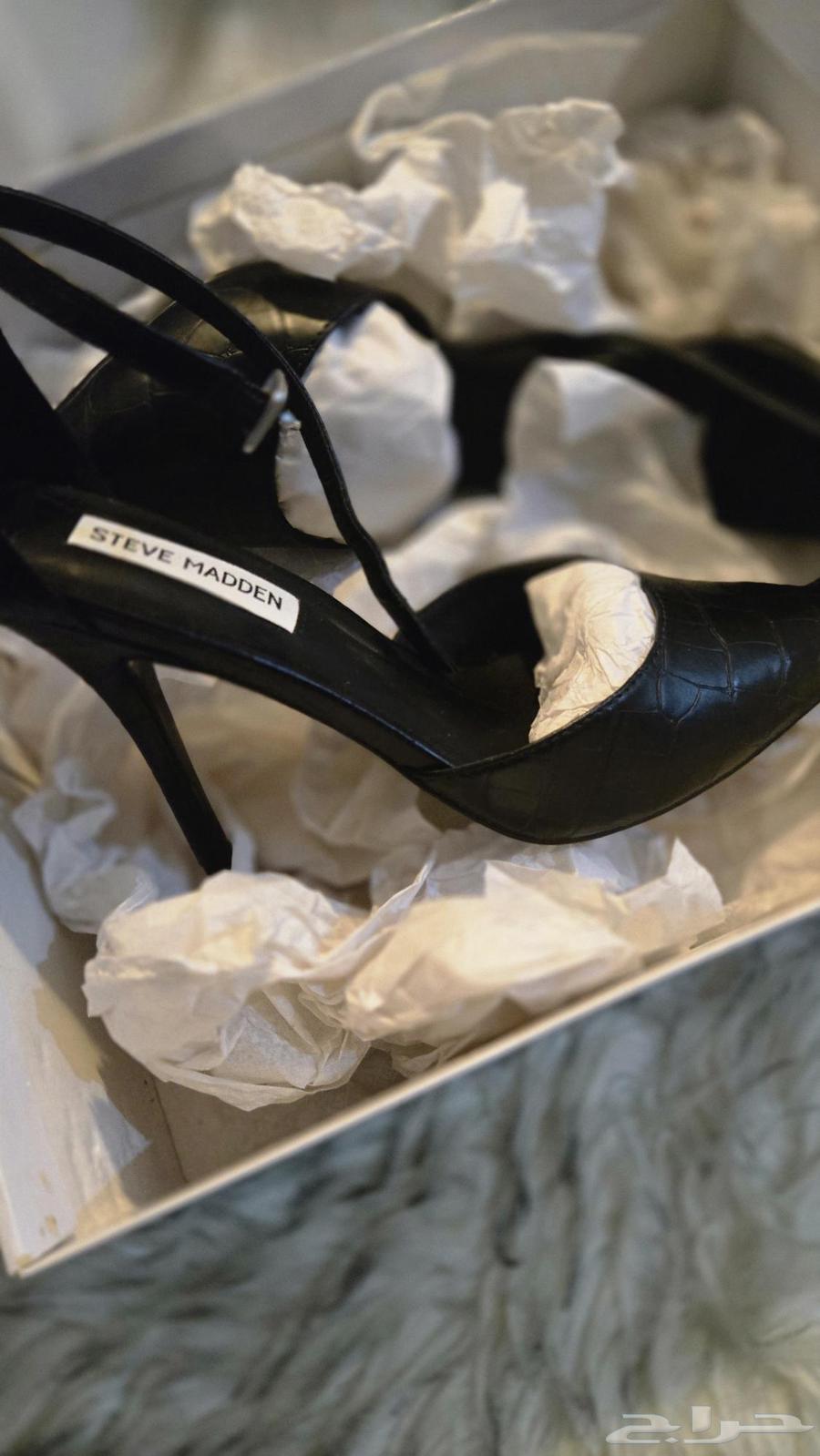 Steve Madden heel63699008697602110