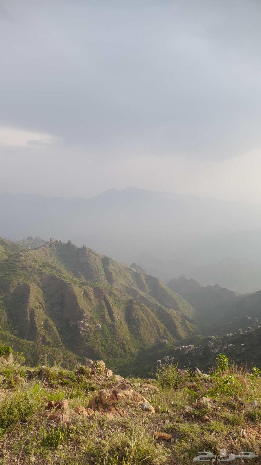 Yemeni Mountain Sidr Honey63676649170049112