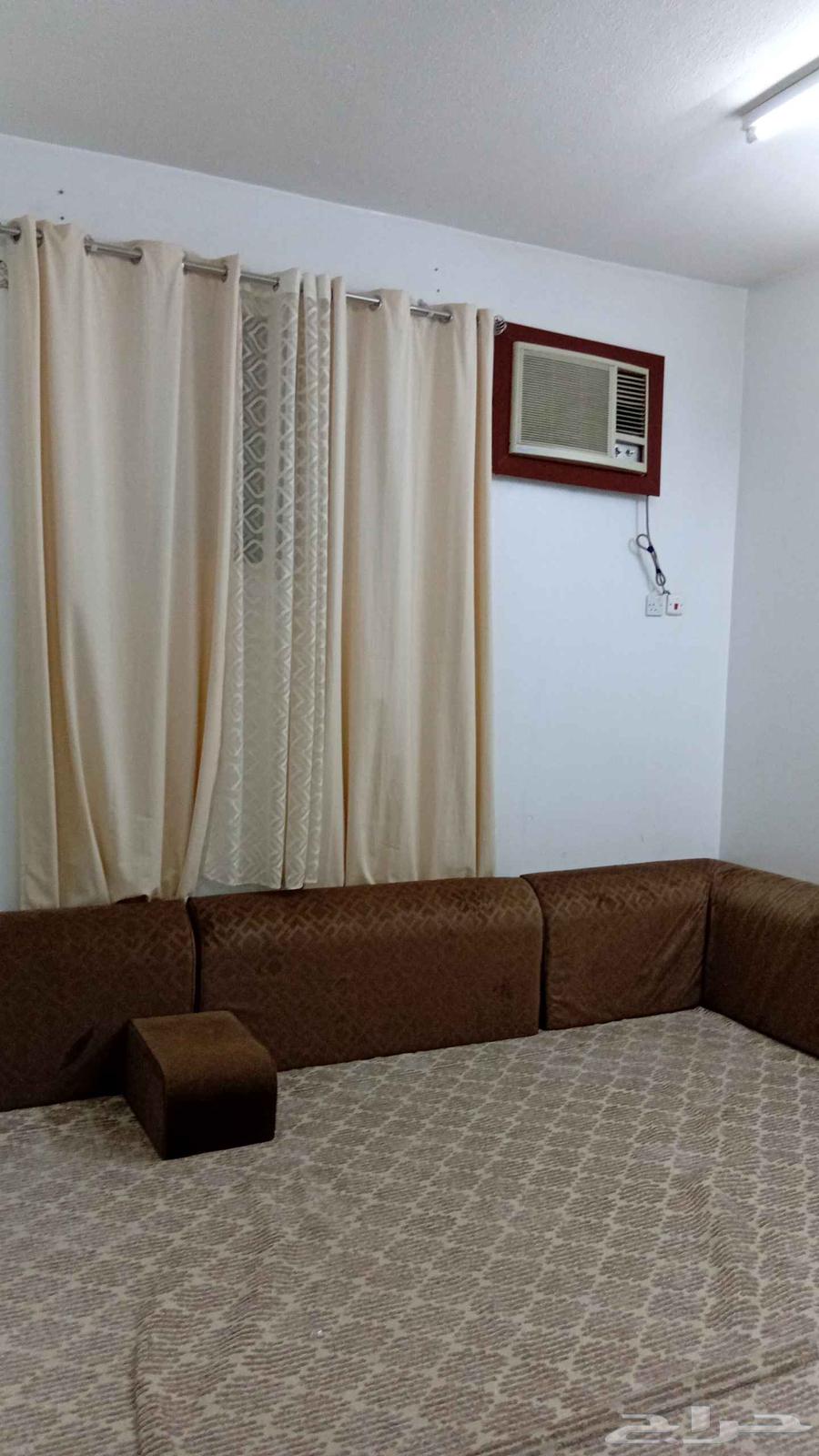 مساند نظيفه مع الفرشه مع الستاره والشجره الزينه ب 70063676735222529110