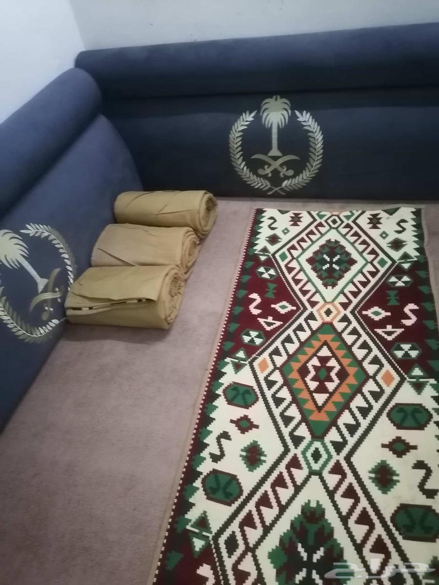 فراشات دراثيات63679658067715112