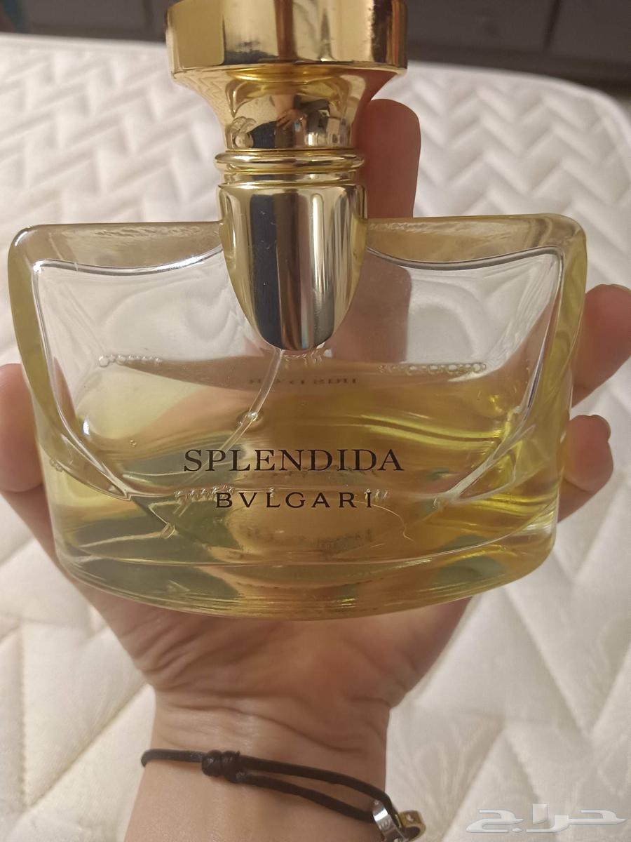 عطر بولغاري مستخدم تحت النص بشوي63678930585217112