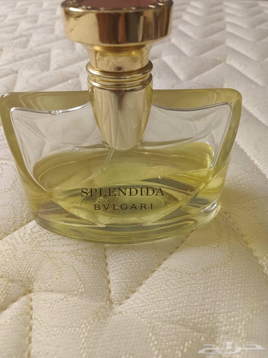 عطر بولغاري مستخدم تحت النص بشوي63678930585217110