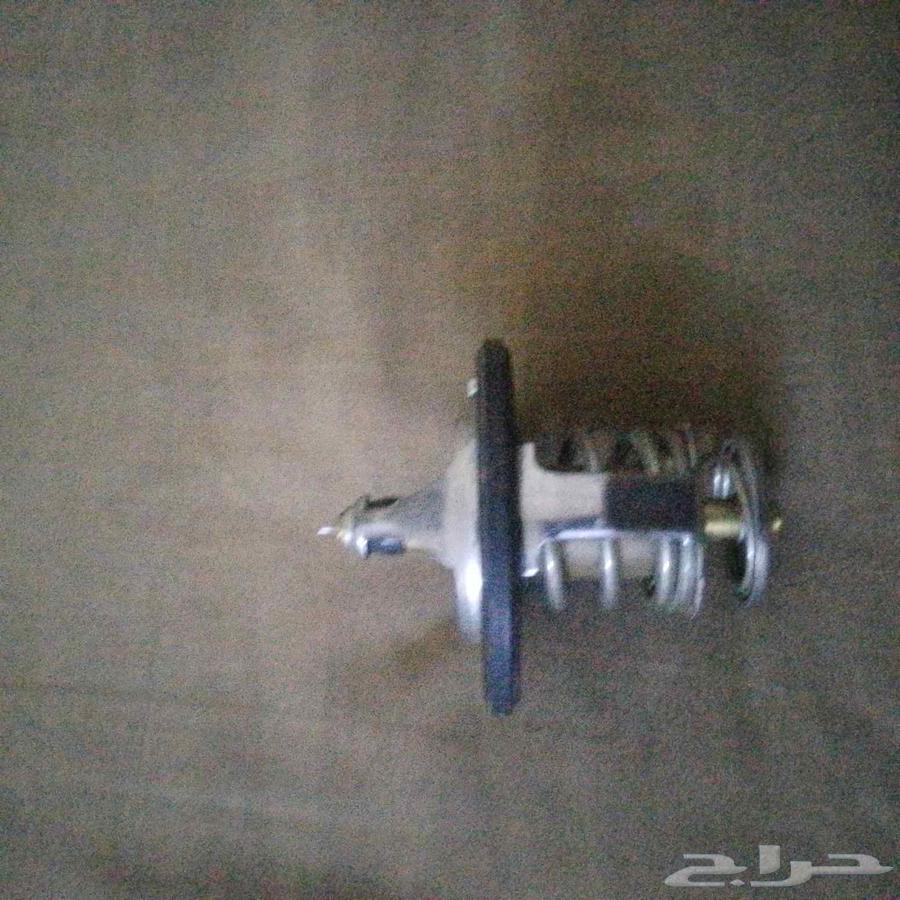 بلف حرارة كدينزا.2017 وكاله حق بلدها63741962066819110