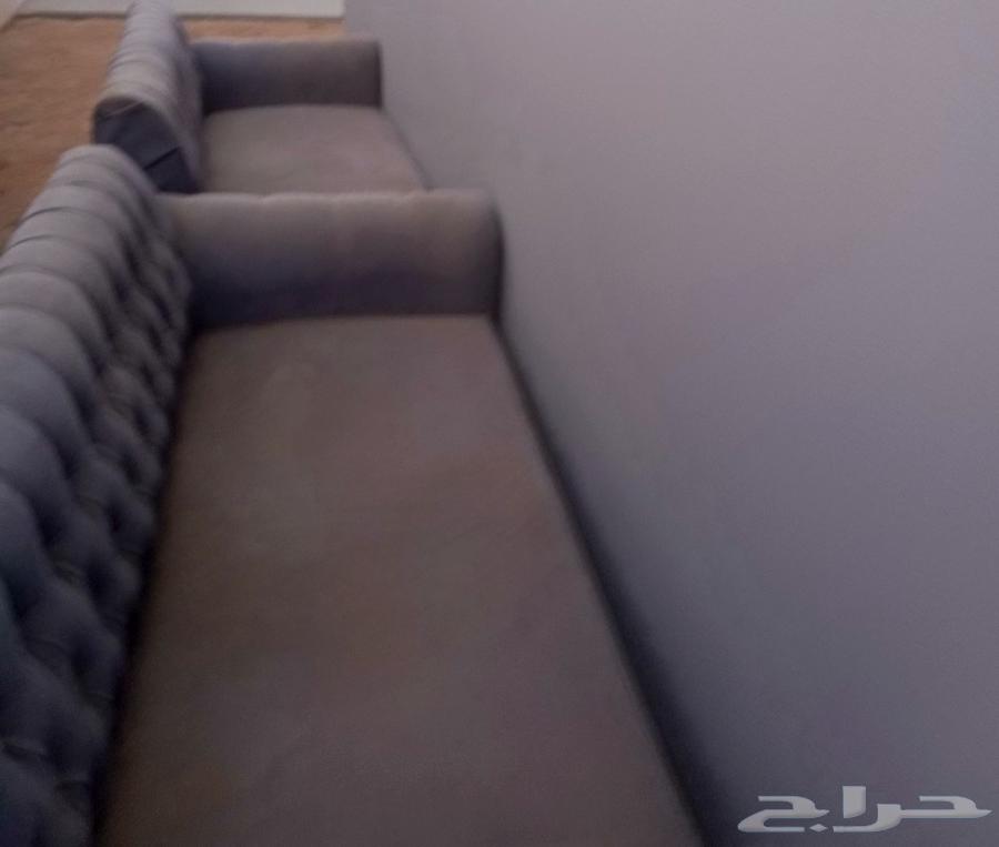 كنبتين مغبره متسخه قابله لتنضيف خشب جديد سعر 17563677590560771110