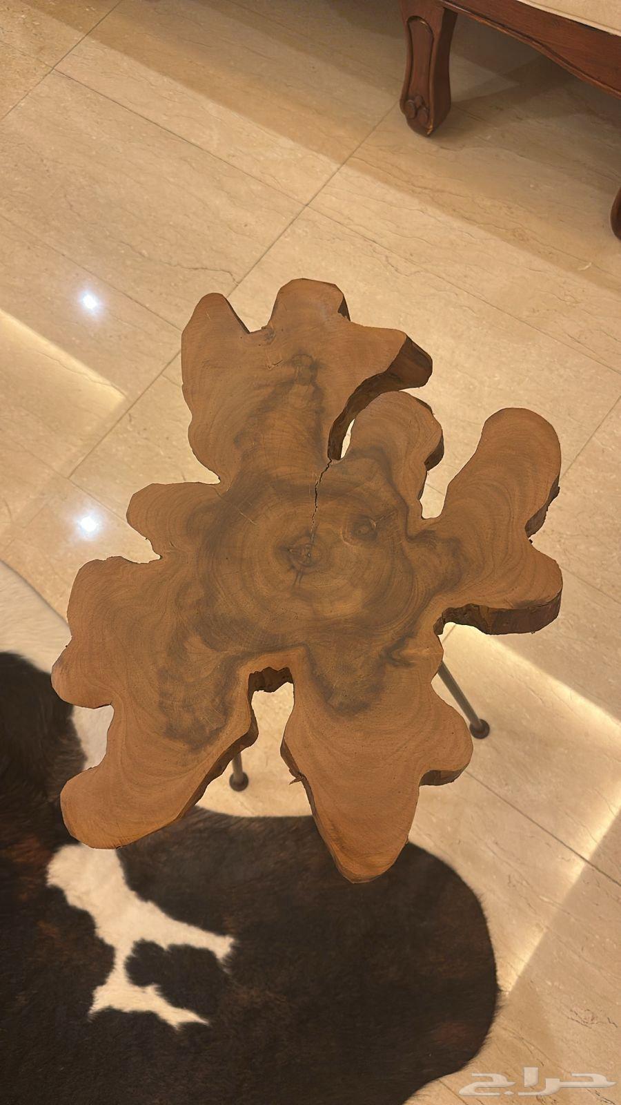 Natural Tree Trunk Table Set for Sale63679337260546114